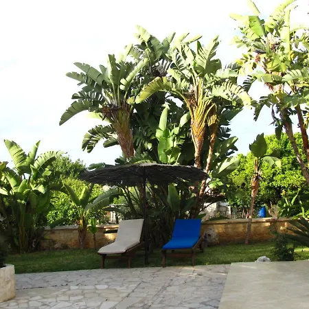 Webooking Theodora
